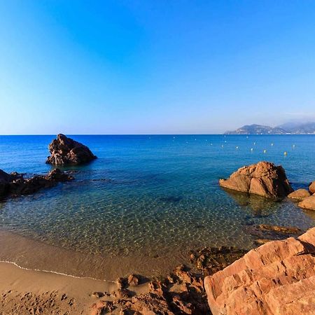 A 10 Min De La Croisette - Pieds Dans La Mer Cannes Exterior photo